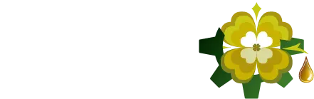 لیفود - سایت دمو