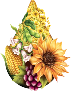 قلات مختلف کارخانه لی فود